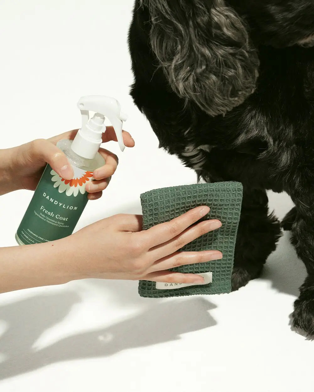 Dandylion Fresh Coat 250mL