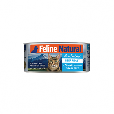 Feline Natural Beef Feast Wet Cat Food