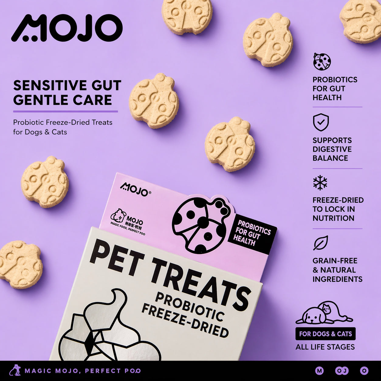 Mojo Probiotic Insect Protein Freeze-Dried Treats | Cats & Dogs ...