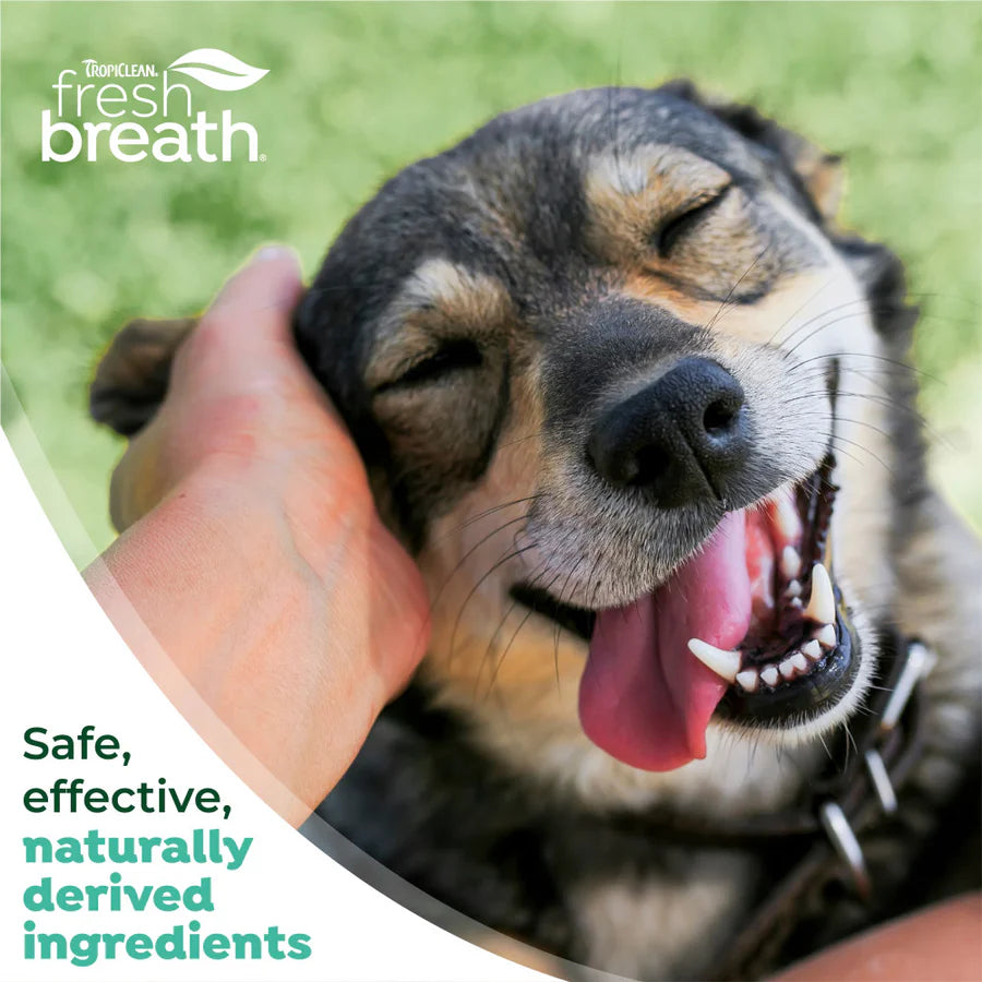 Tropiclean Fresh Breath Oral Care Kit for Small & Medium Dogs