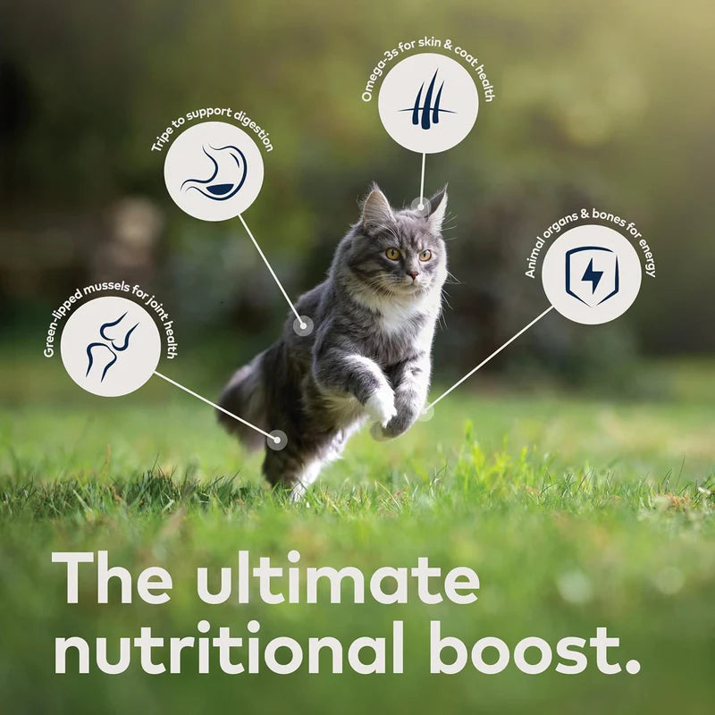 ZIWI Mackerel & Lamb Wet Cat Food