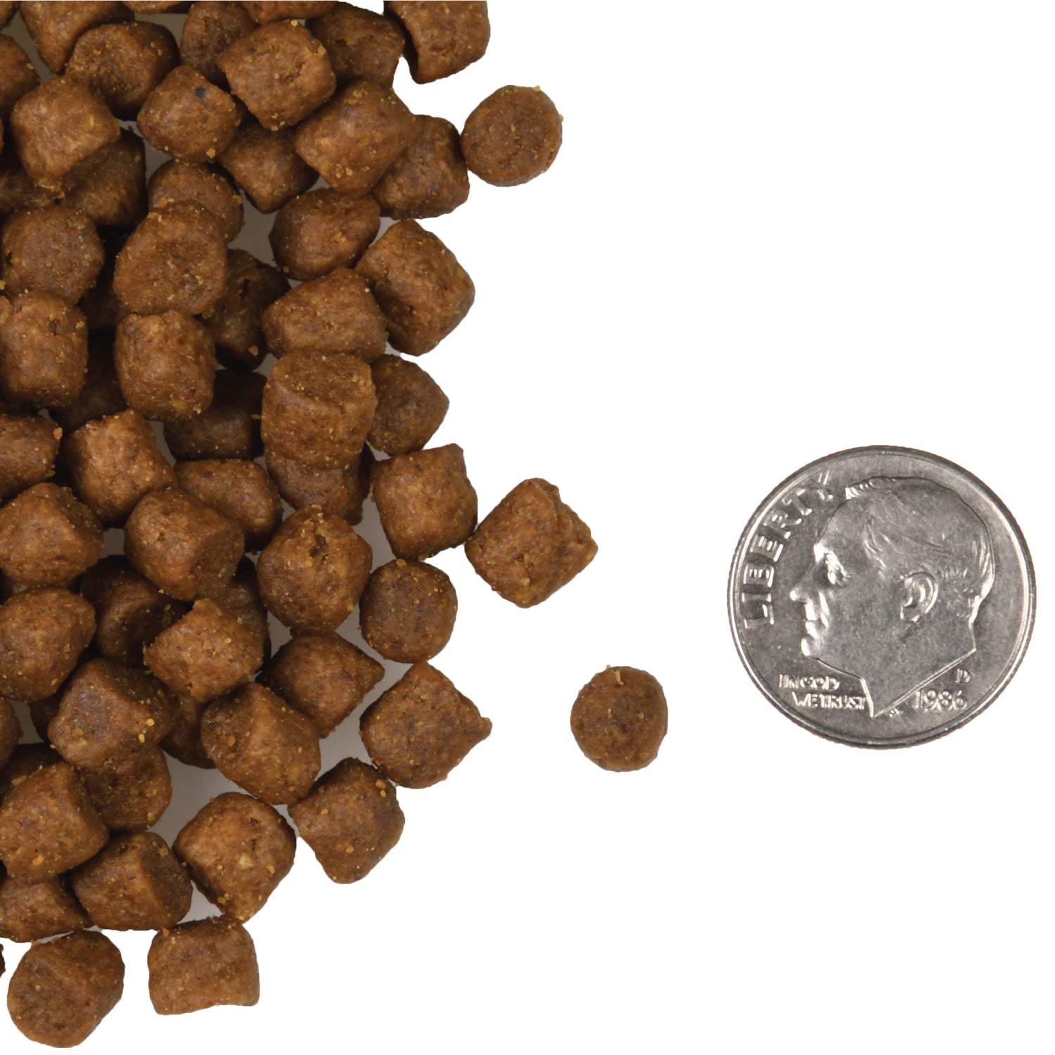Fromm Four Star Surf & Turf Recipe Dry Cat Food