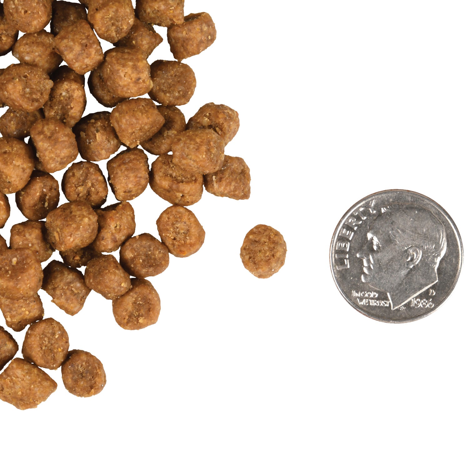Fromm Gold Indoor Cat Food Recipe