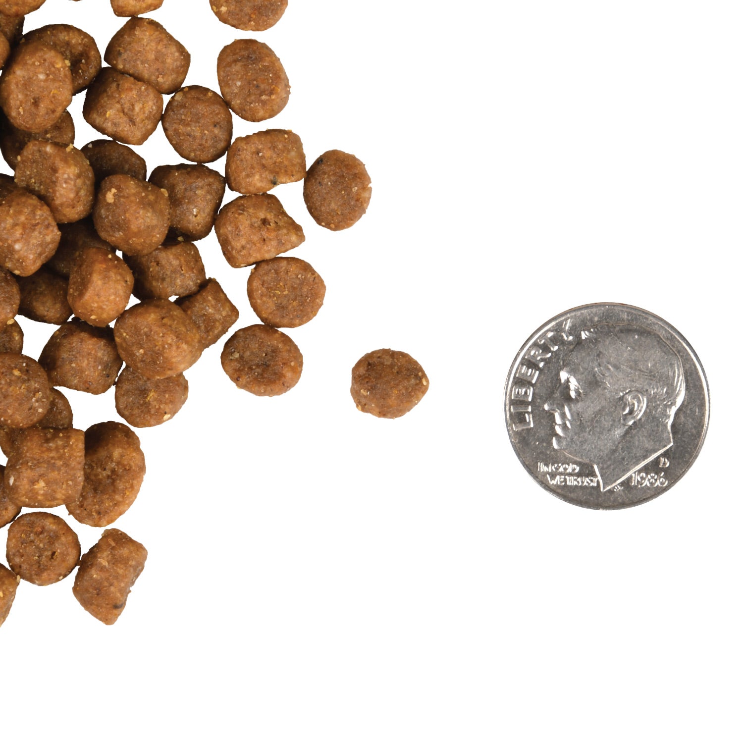Fromm Gold Kitten Dry Cat Food