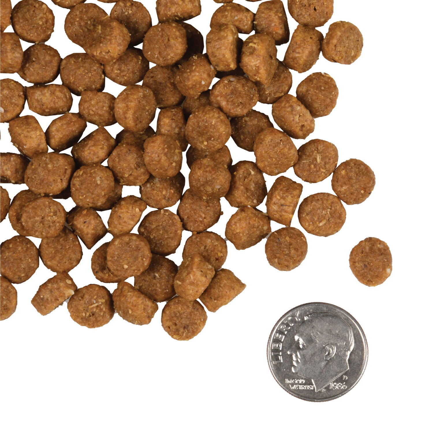 Fromm Gold Puppy Dry Dog Food 5 lb