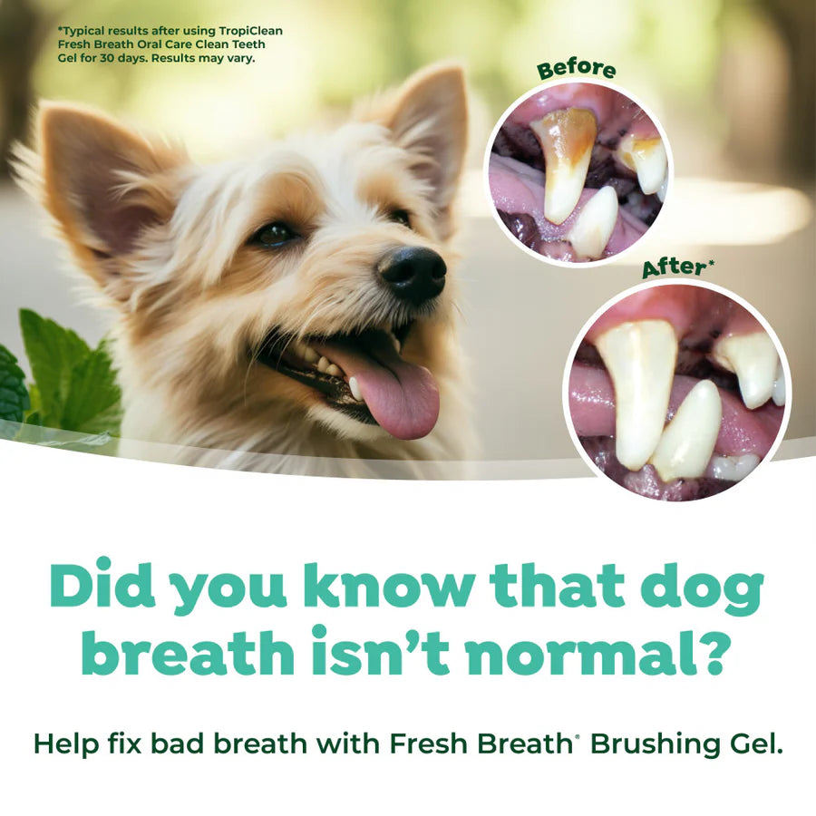 TropiClean Fresh Breath Dental & Oral Care Brushing Gel for Dogs