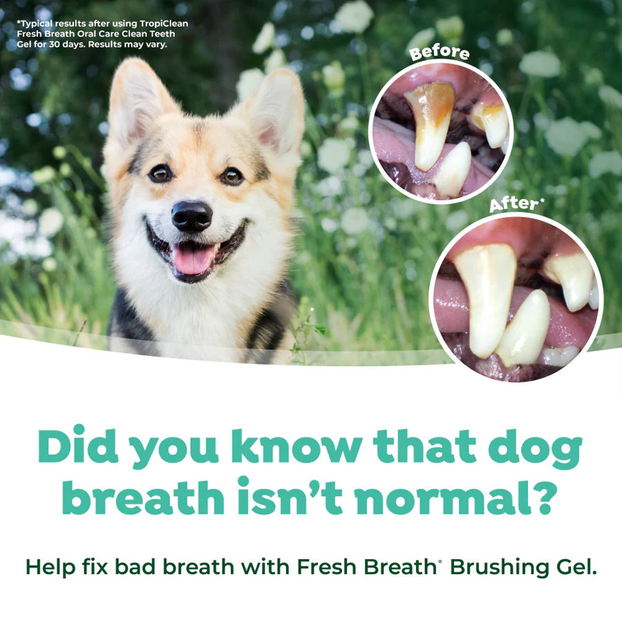 Tropiclean Fresh Breath Oral Care Kit for Small & Medium Dogs